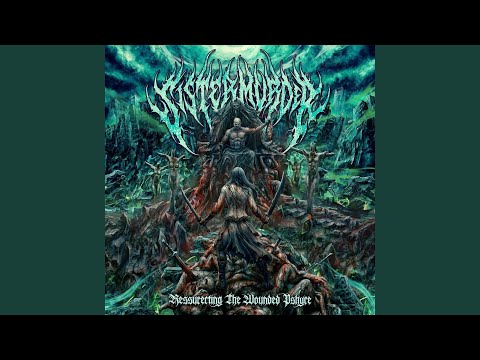 sister murder - soul bomber destruction.mp4 #sistermurder #deathmetalmusic #deathmetal #metalcore