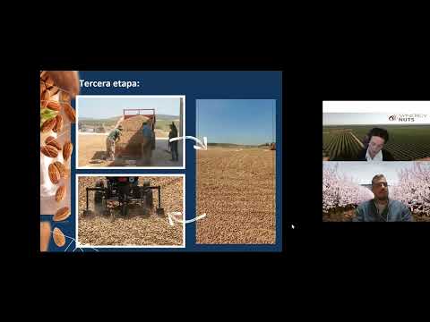 Secado de almendra, ¿cómo se realiza?