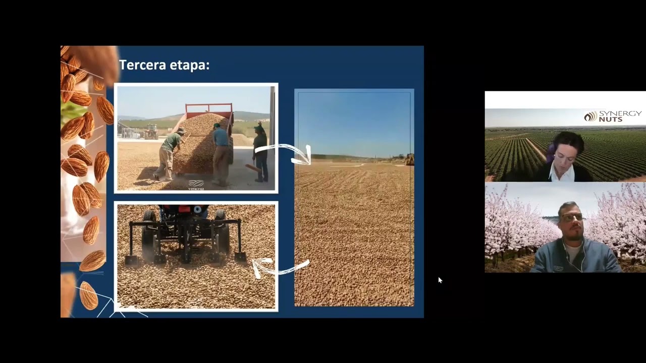 Secado de almendra, ¿cómo se realiza?