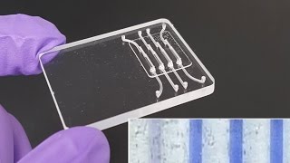Portable test rapidly detects Zika in saliva for $2