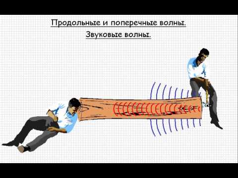 Продольные и поперечные волны  Звуковые волны  Урок 120