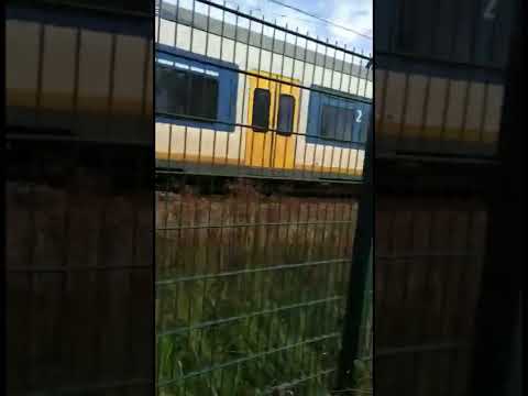 Train spotting at Hilversum sportpark Netherlands