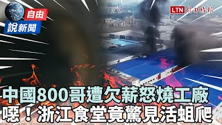 自由說新聞》中國「800哥」掀勞工怒火！噁...食堂驚見活蛆竟被要求噤聲