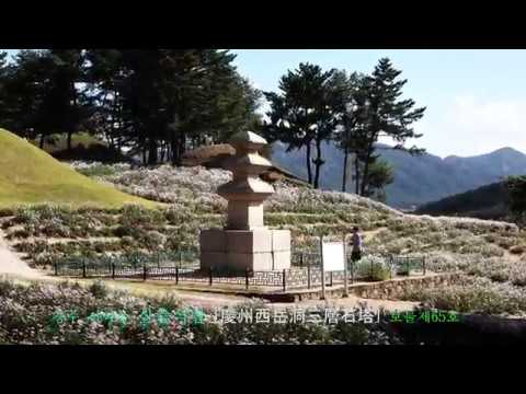 2018경주 서악동 왕들의 영역 그리고 구절초향기~