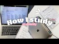 How I Study, Stay Productive and Organized with Online School