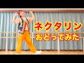 【ネクタリン ダンス】踊ってみた [天てれ] テーマソングMV『ネクタリン』マカロニえんぴつ&times;yurinasia&times;てれび戦士 | 23年度版【天才てれびくん】| NHK