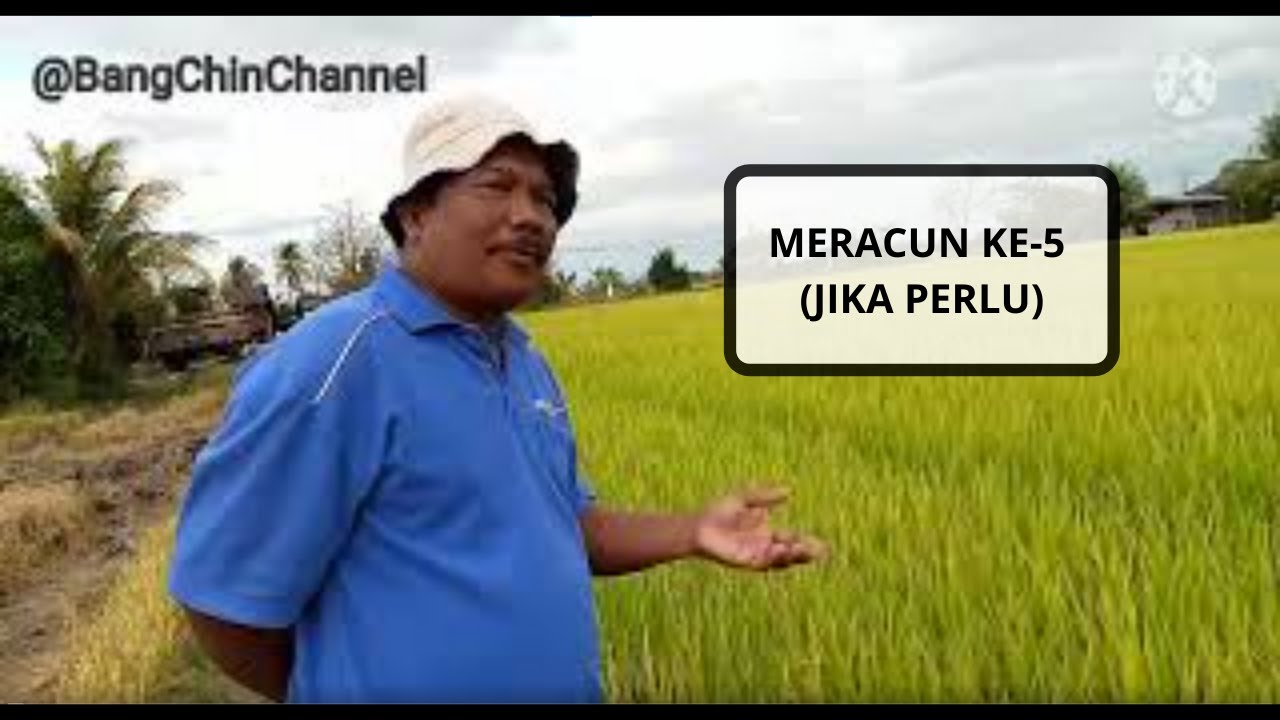 Meracun ke-5 (jika perlu)