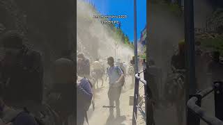 Amarnath Yatra Baltal Route travel shivyatravlogs amarnathyatra shorts short