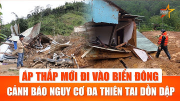 Đà Nẵng báo động đỏ: Di dời khẩn 664 người trong đêm sau vụ sạt lở kinh hoàng