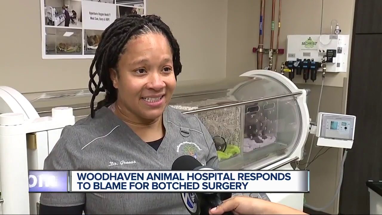 botched surgery stories Detroit family says German Shepherd's botched surgery cost dog its leg