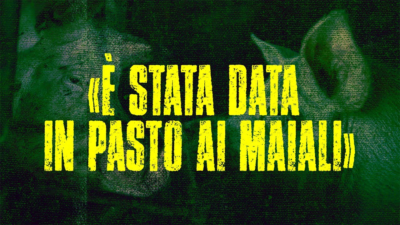 «È stata data in pasto ai maiali» - Mammasantissima