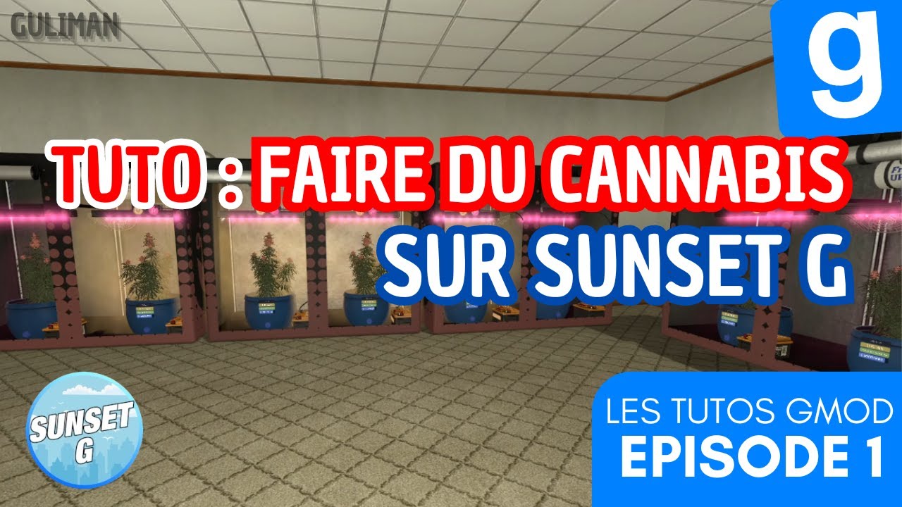 TUTO #1 - Comment faire du Cannabis sur Sunset G - Gmod Dark RP
