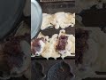 11時半開店から怒涛のたい焼き注文 #japanesefood