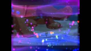 Animash -- Hot N' Cold