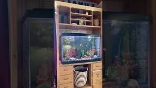 7718 Nova Scotia Trunk 3 By Tanya Rose 1