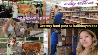 GROCERY HAUL PARA SA BALIKBAYAN BOX +PUPUNTA NG COUNTRY FAIR IBA YONG FIESTA NILA