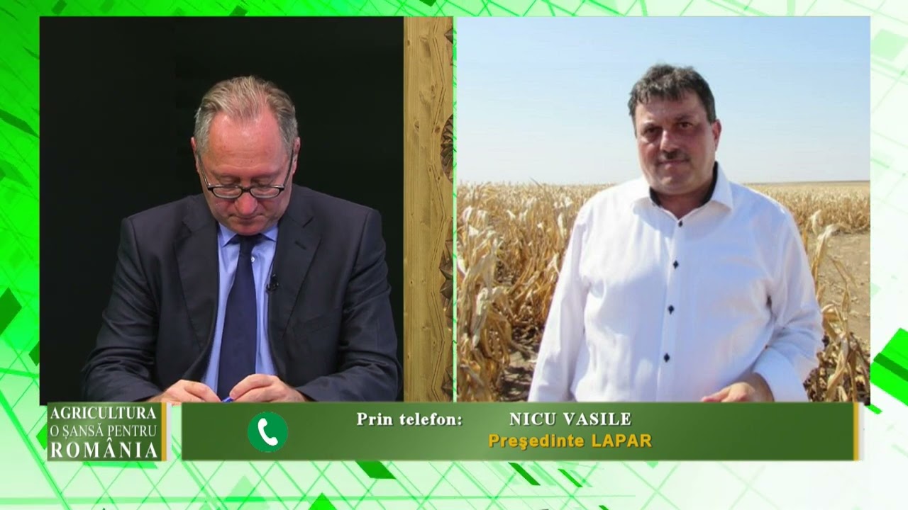 Cheltuieli ENORME pentru fermieri! Cât costă înființarea unui hectar de grâu toamna aceasta 1 Cheltuieli ENORME pentru fermieri! Cât costă înființarea unui hectar de grâu toamna aceasta YouTube player