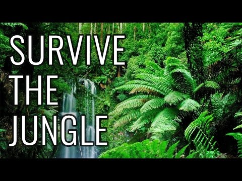 How to Survive the Jungle - EPIC HOW TO