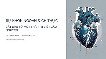 Chúa Nhật Tuần XVII - Mùa Thường Niên - Năm C
