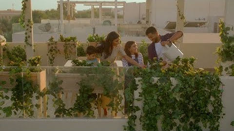 Welcome to The Sustainable City Yas Island