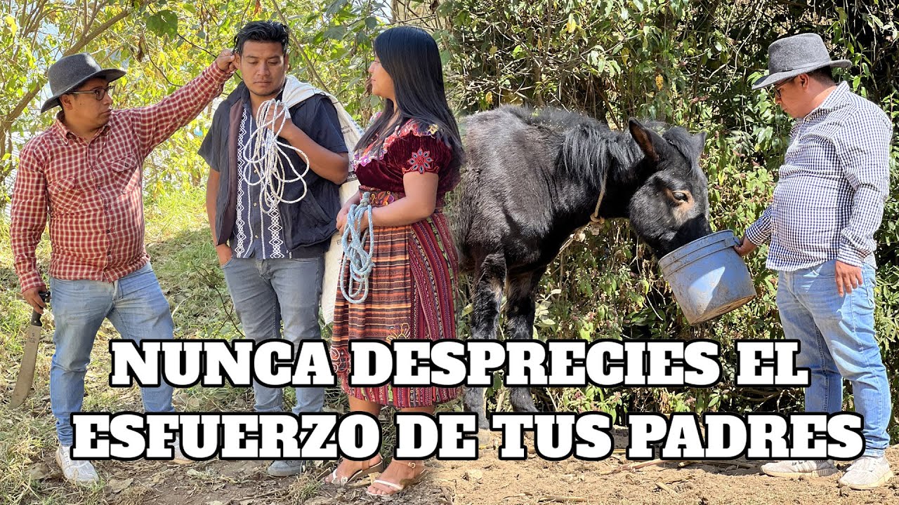NUNCA DESPRECIES EL ESFUERZO DE TUS PADRES// REFLEXIÓN
