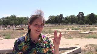 Historic Fairview Cemetery Clean Up September 7