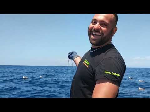 iscigne old fishing school pesca al tonno nel golfo di napoli