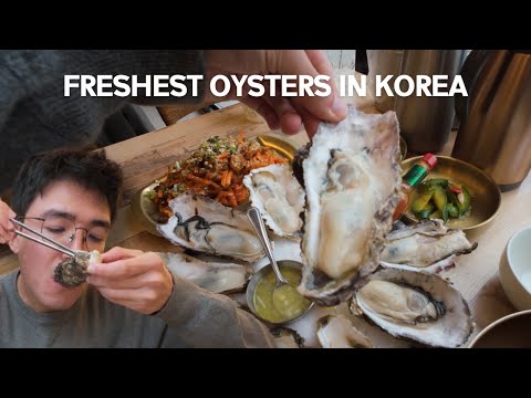 Eating a full oyster course in Korea