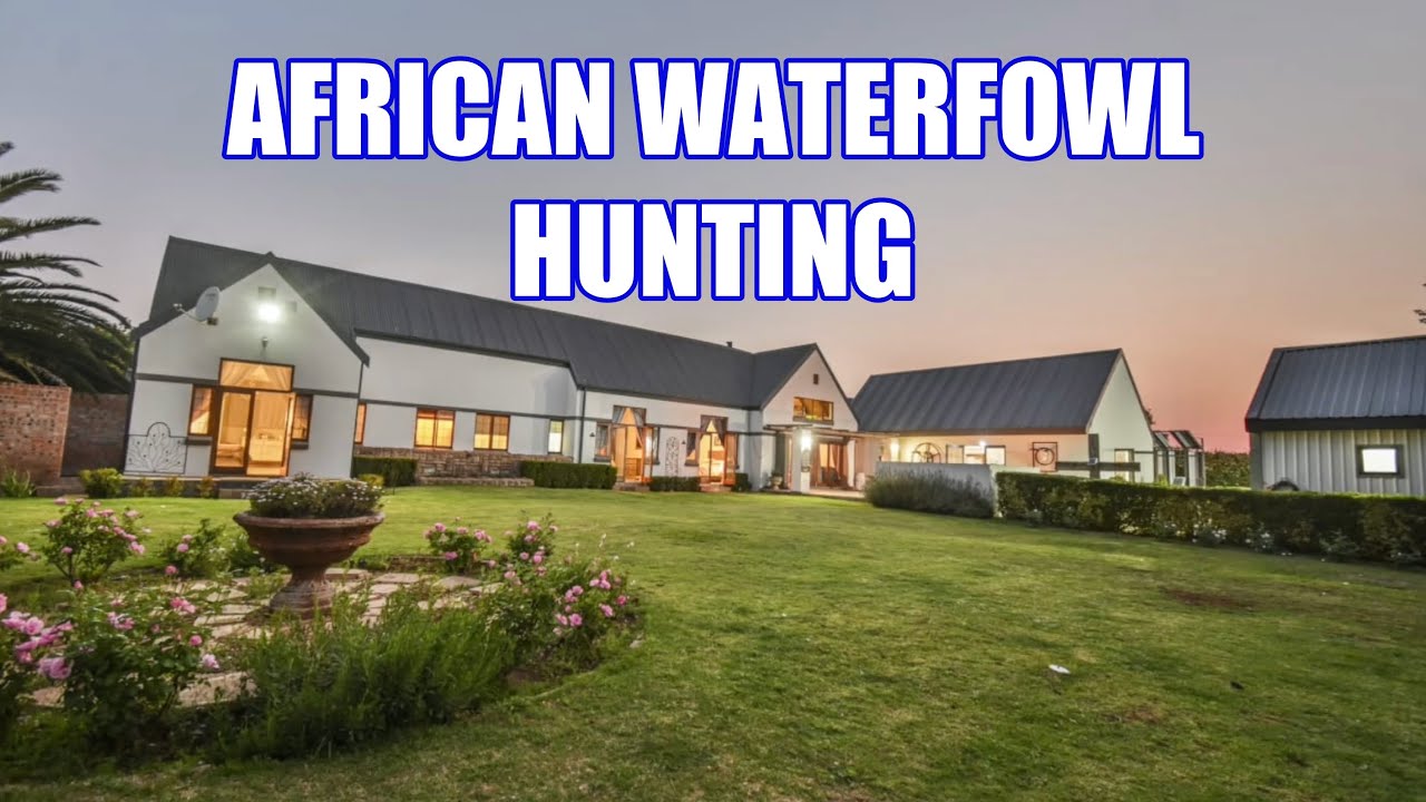 Охота на водоплавающих птиц в Южной Африке