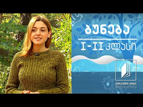 ბუნება, I-II კლასი - ვულკანები #ტელესკოლა