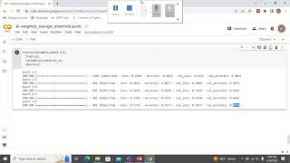 Python code for weighted average ensemble Wealth