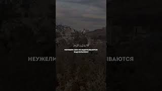 Сура 4 Ан-Ниса (82) Халид ар-Румейх #muslim #freepalestine #мусульмане #палестина #сунна