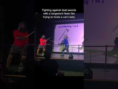 Fighting Against Dual Swords Is Like Trying To Tickle A Cat Shorts 