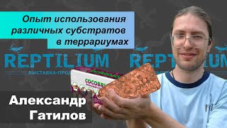 Опыт использования различных субстратов в террариумах