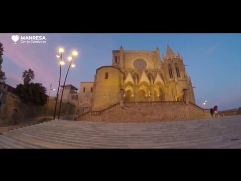 Vídeo: Guia Sobre L’embaràs, La Feina I La Cura Dels Cadells De Gossos