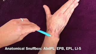 Locating acupuncture points on the wrist part 2: tendons