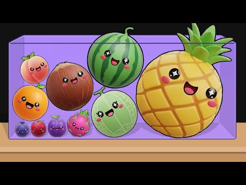 Fruit Wheel - Video