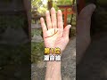 50代まで何も変わらなかったのは、神様が一番いい時を後ろにずらしていたからです。選ばれた人にしか出ない3つの印、あなたの手にはありましたか？#手相 #手相占い #スピリチュアル #大器晩成 #金運