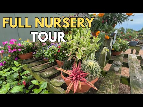 Don't Miss This Awesome Nursery That's Packed With Cacti and Succulents -  YouTube