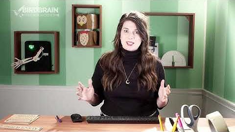 Robot Petting Zoo Lesson 1