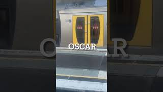 #shorts What’s your favourite Sydney train? #train #nswtrains #rail #sydneytrains #railfan #foryou