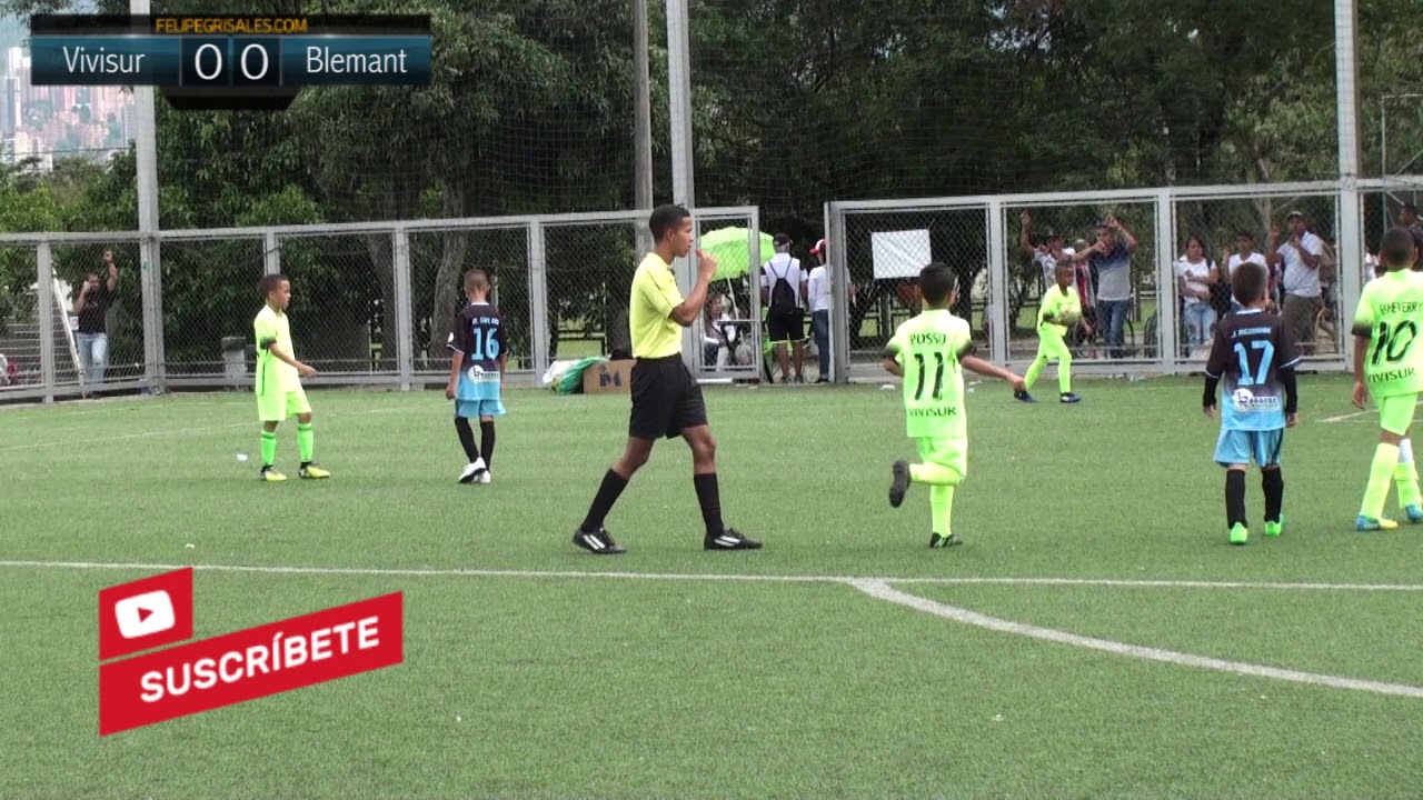 Final Vivisue Vs Blamant