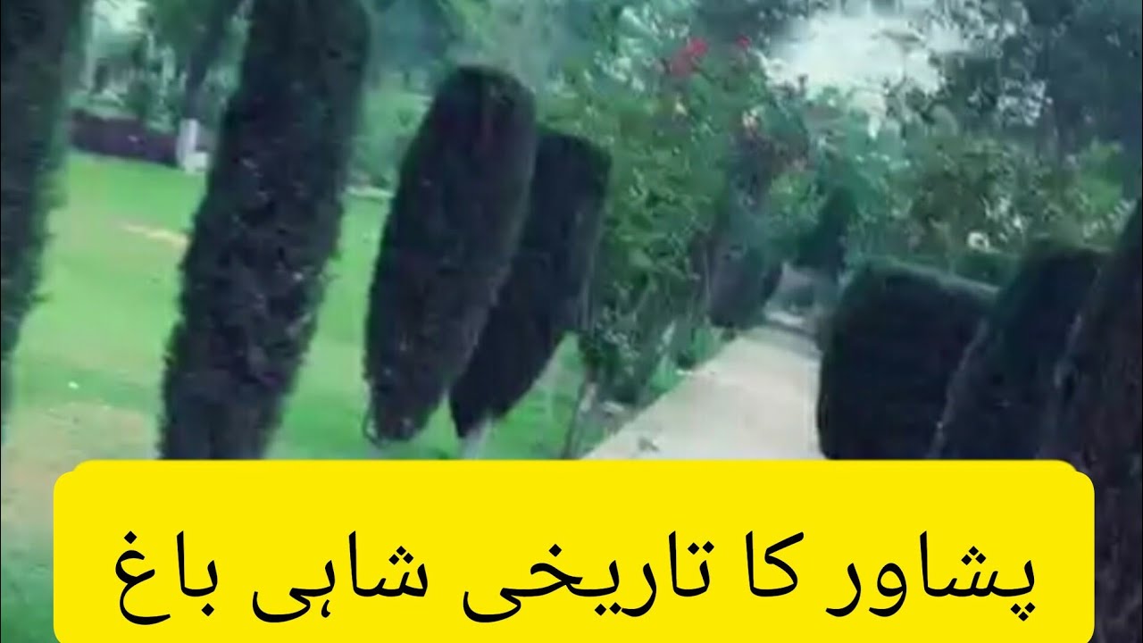 Shahi Bagh Peshawar and Peshawar Old City Surrounding Drone View | Historic Shahi Bagh Peshawar