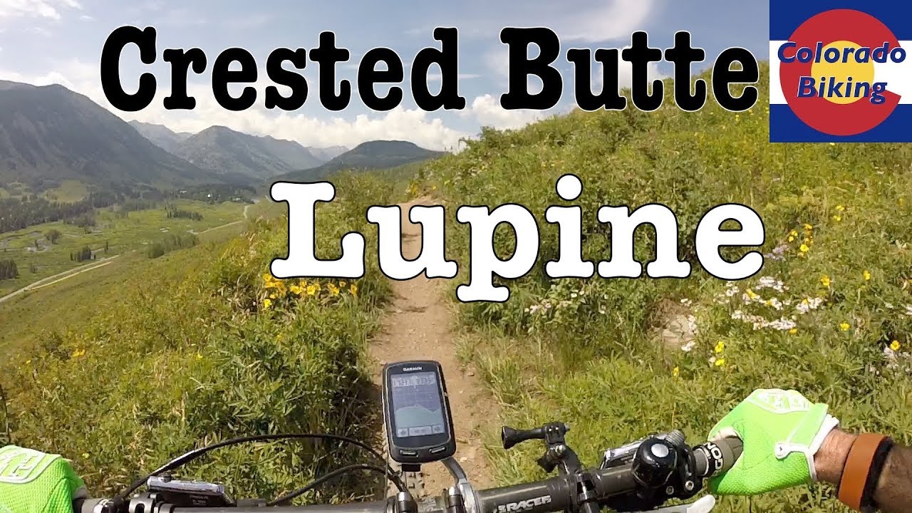CO MTB 🟦 | Crested Butte | Lupine Trail