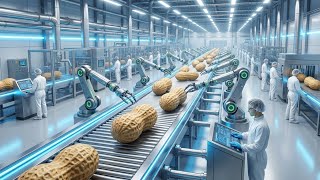 Inside the Peanut Oil Factory – How Raw Peanuts Become Premium Cooking Oil (Full Process)