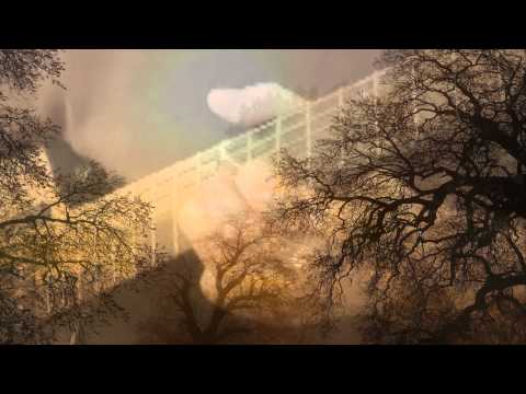 For The Love Of God-Steve Vai