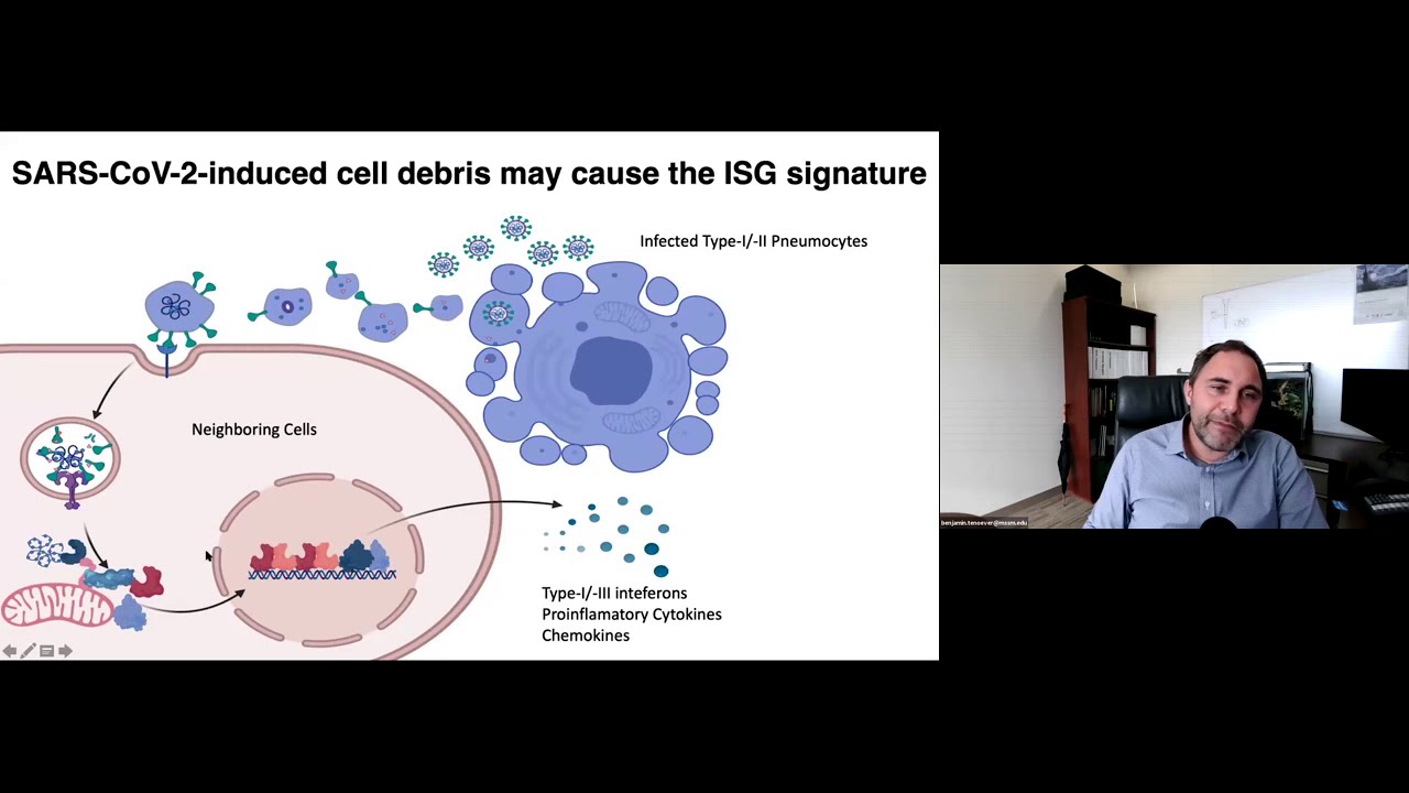 “Systemic inflammation and other unexpected surprises in the host response to SARS-CoV-2”.