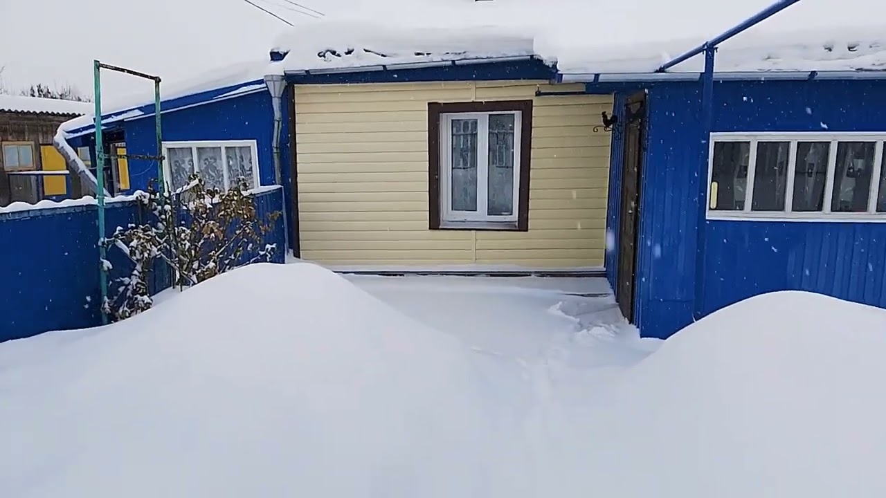 Жизнь моя деревенская 🏡. Снег, а потом мороз ❄️🥶