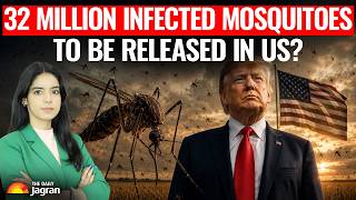 MOSQUITO APOCALYPSE? Google Plans To Release 32 MILLION Genetically Modified Mosquitoes In The US!