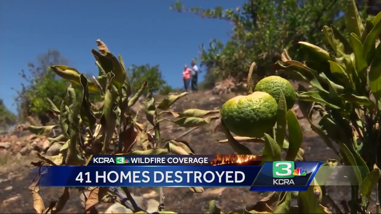 This family’s hand-built California home survived the Wall Fire’s raging flames
